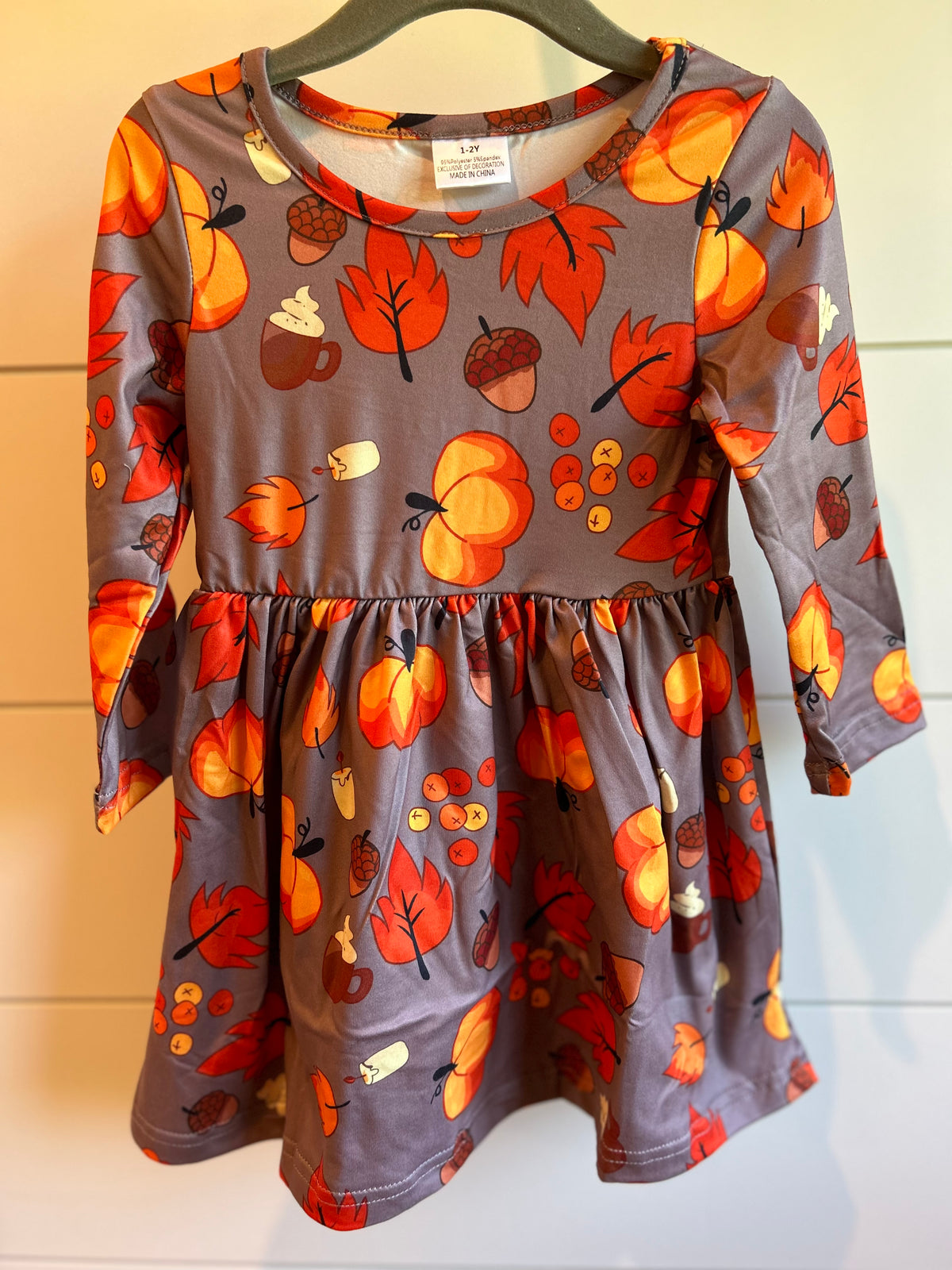Everything Fall Long Sleeve Dress